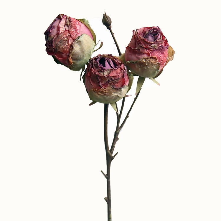d3dbd68e789b1ee017f69a280d8fac9e