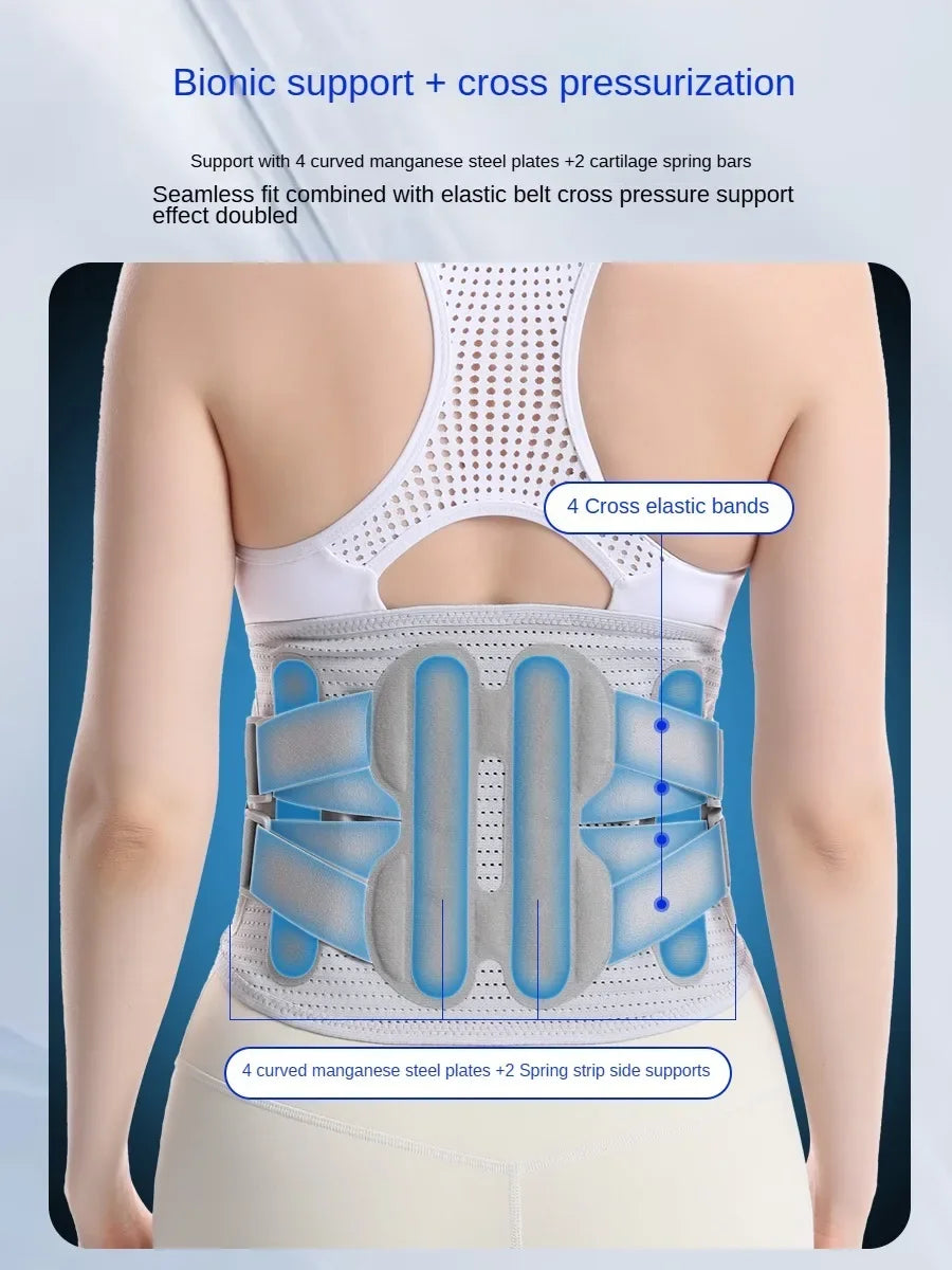 Adjustable Back Support Belt  Lumbar Support Breathable Lower Back Brace for Sciatica Scoliosis Herniated Disc Sciatica