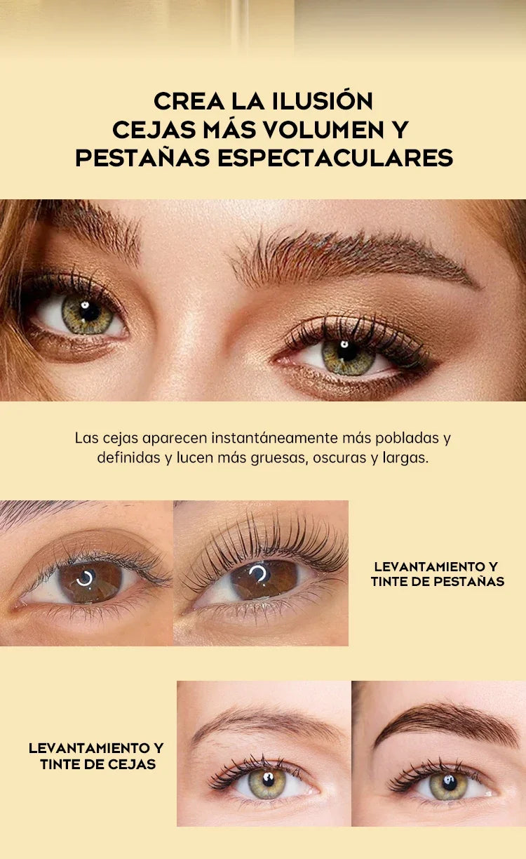 Gollee Classic Black Natural Eyelash Lifting Perm Treatment Makeup Set Lash and Brow Tinting Kit Easy For Beginner at Home