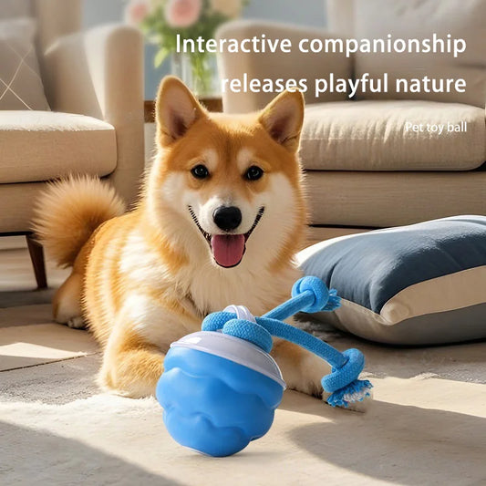Xiaomi Smart Dog Toy Ball Electronic Interactive Pet Toy Moving Ball Rope USB Automatic Moving Bouncing for Puppy Chew Products