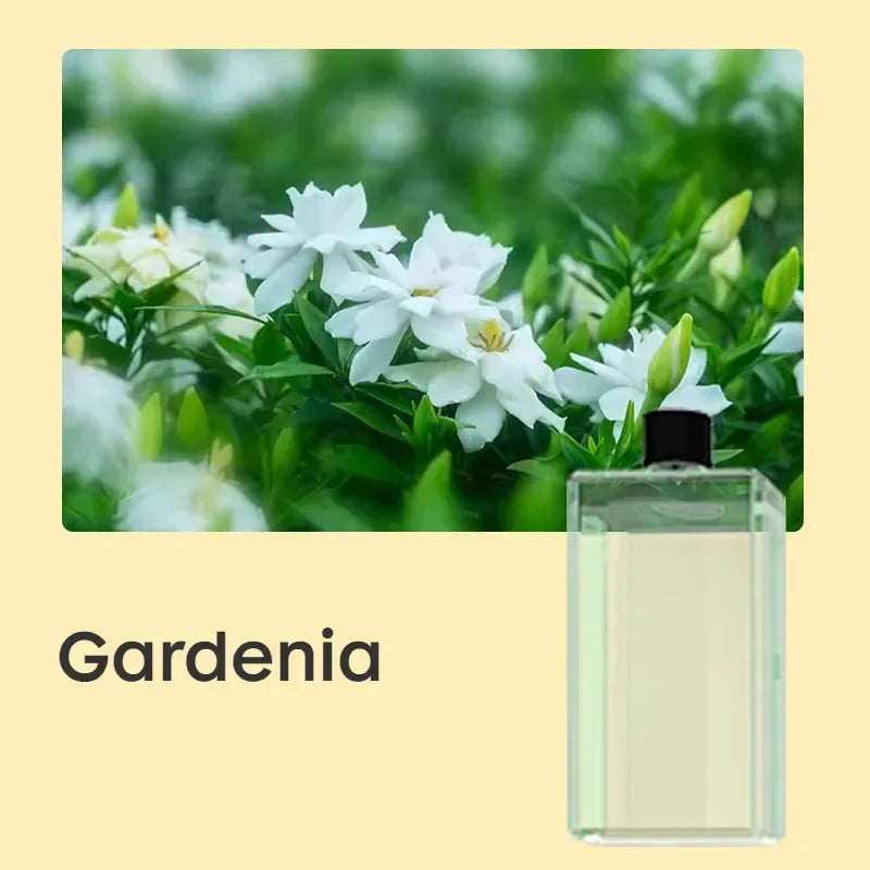 معطر جو يعمل بالعلاج العطري، ستة مستويات قابلة للتعديل، بطارية تدوم طويلاً، ينتشر على نطاق أوسع لإزالة الروائح من المنزل أو المكتب.