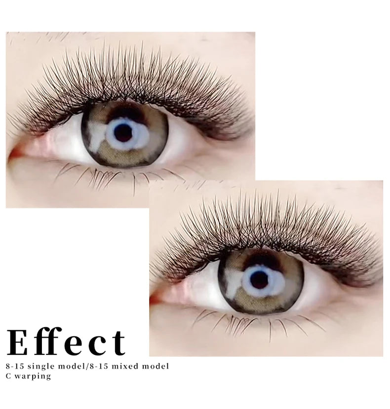 MENGLUKE 5D W Shaped Bloom Automatic Flowering Premade Fans Eyelashes Extensions Natural Soft Light High Idividual Lashes