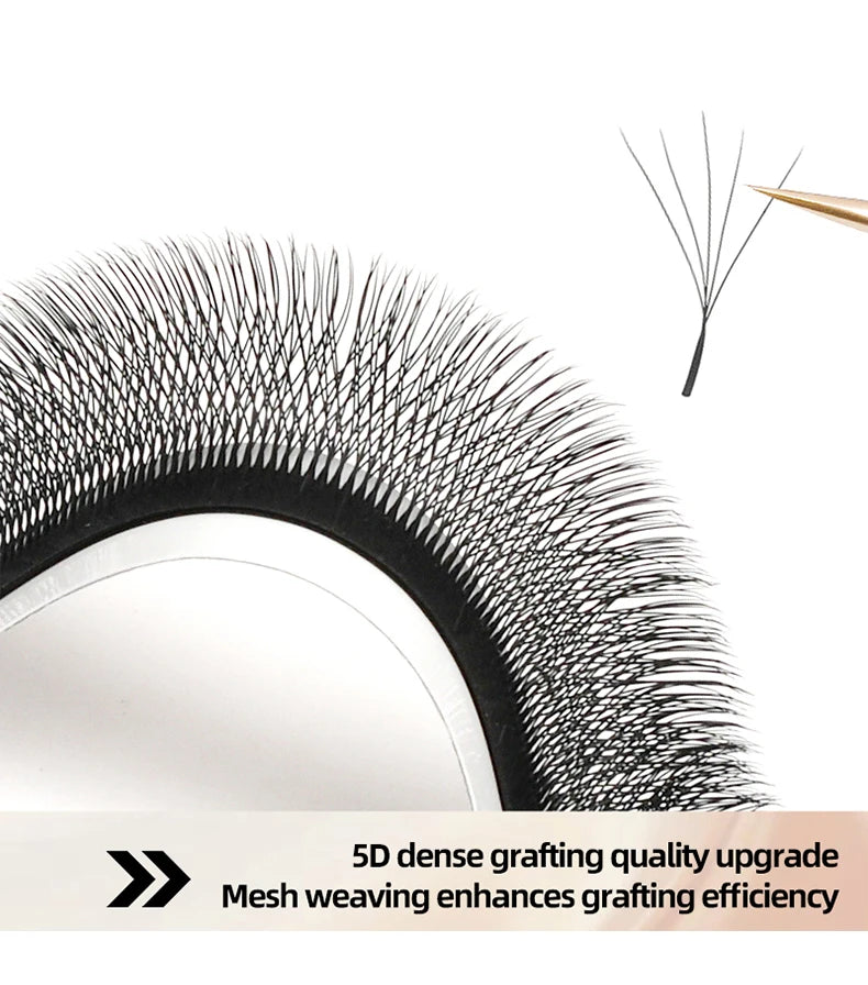 MENGLUKE 5D W Shaped Bloom Automatic Flowering Premade Fans Eyelashes Extensions Natural Soft Light High Idividual Lashes