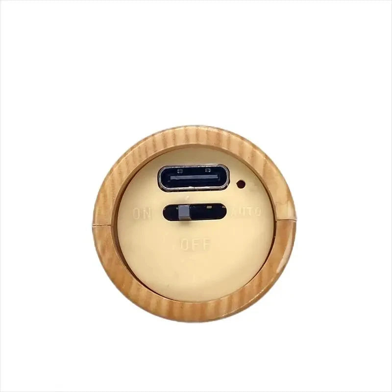 LED Night Light Intelligent Human Body Induction Lamp USB Charging Smart Motion Sensor Wall Lamp Household Toilet Wall Induction