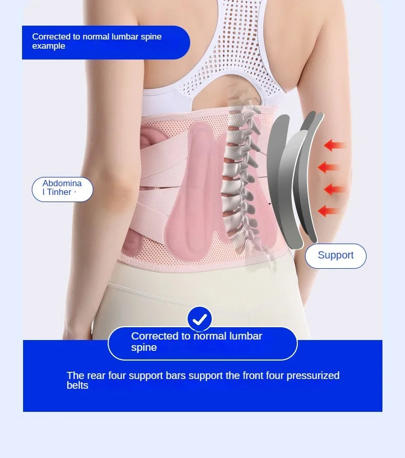 Adjustable Back Support Belt  Lumbar Support Breathable Lower Back Brace for Sciatica Scoliosis Herniated Disc Sciatica