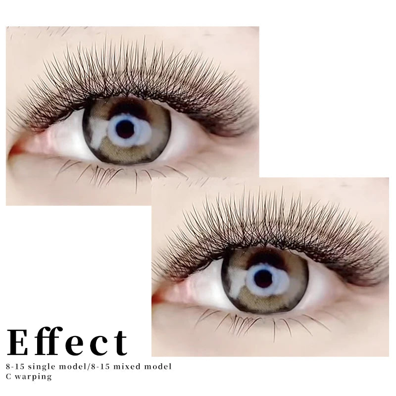 MENGLUKE 5D W Shaped Bloom Automatic Flowering Premade Fans Eyelashes Extensions Natural Soft Light High Idividual Lashes